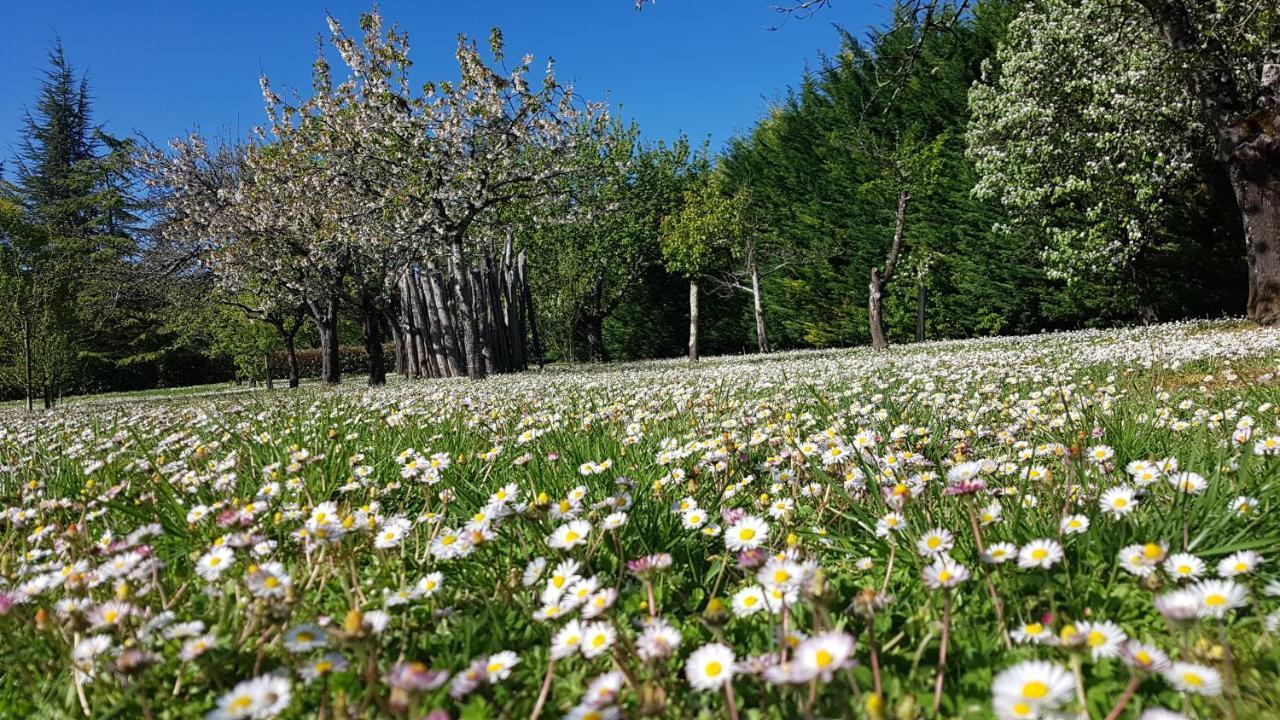 Chambres D'Hotes Domaine De La Brette Moncrabeau Eksteriør bilde