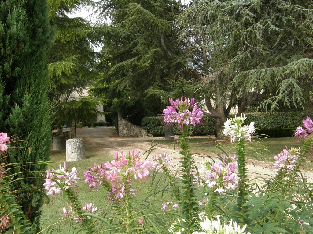 Chambres D'Hotes Domaine De La Brette Moncrabeau Rom bilde